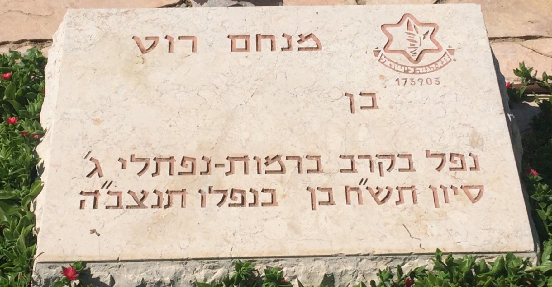 מ