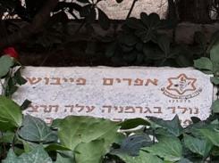 מצבה 