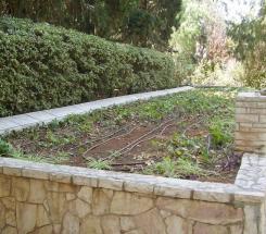 קבר האחים לחללי גזר בחלקה הצבאית, באדיבות: ד”ר אבישי טייכר, גזר. 