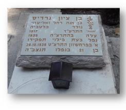 מחודשת
