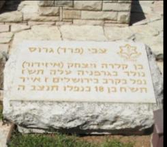 מצבתו של צבי פרדי גרוס בהר הרצל, ירושלים