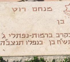 מ