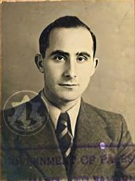 ויטלין