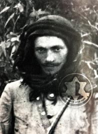 מרדכי זוהר