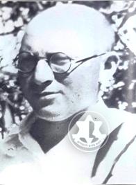 הנדל דב