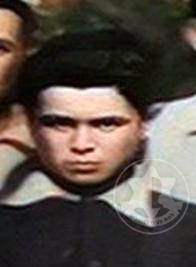 טלפוס חיים