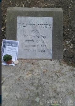קברו של מתתיהו דוידוביץ billiongraves