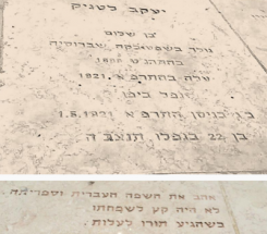מ