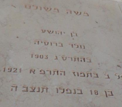 מ