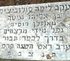 מ