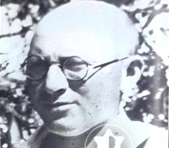 הנדל דב