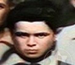 טלפוס חיים