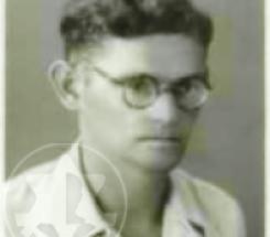 פלדמן זליג