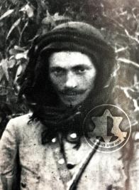 זוהר מרדכי