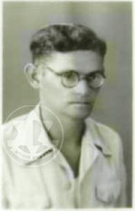 פלדמן זליג