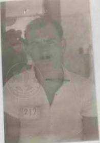 פריד צבי